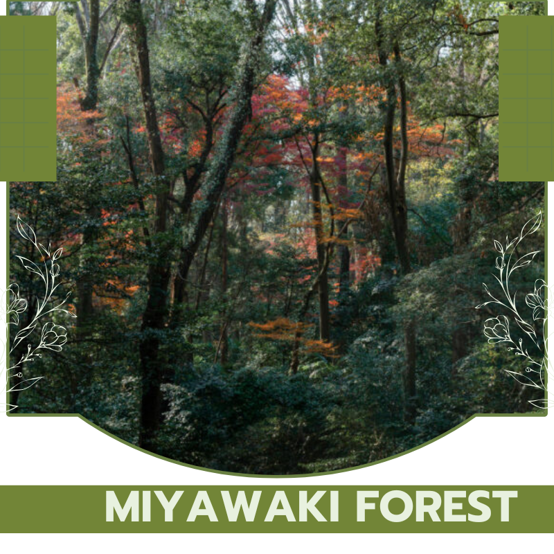 Miyawaki Forest Method
