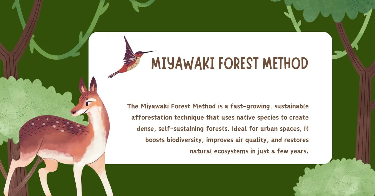 Miyawaki Forest Method
