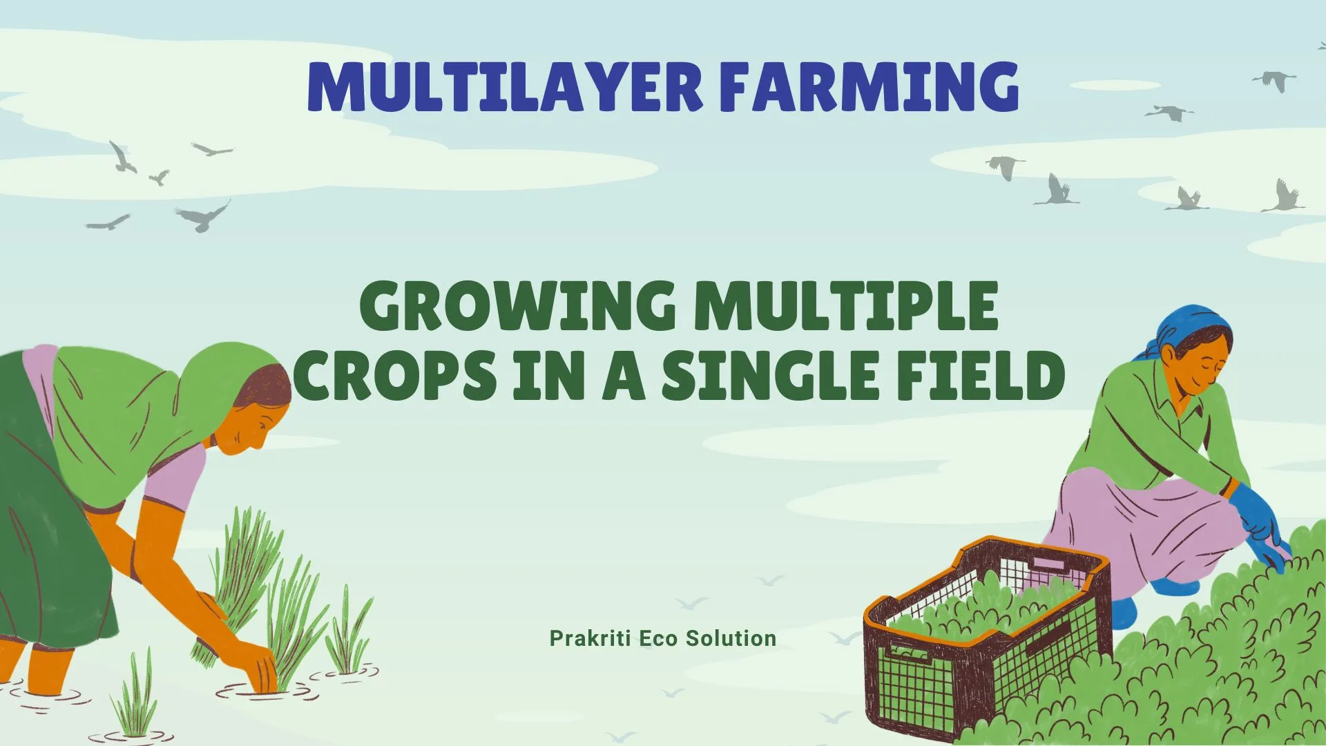 multilayer farming in india
